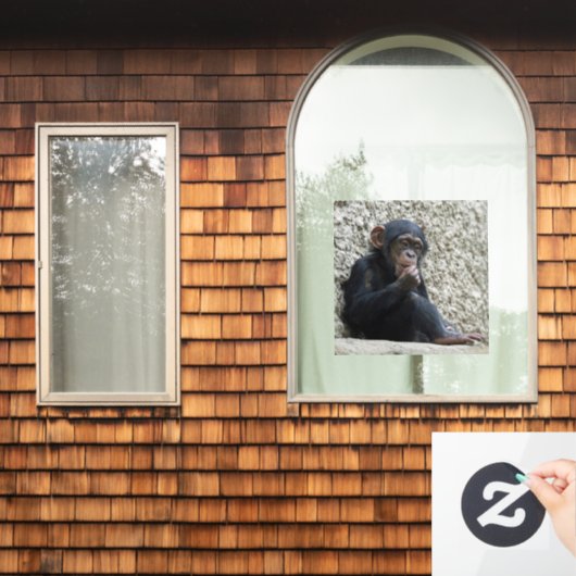 Chimpansee 013 raamsticker (Huis Raam)