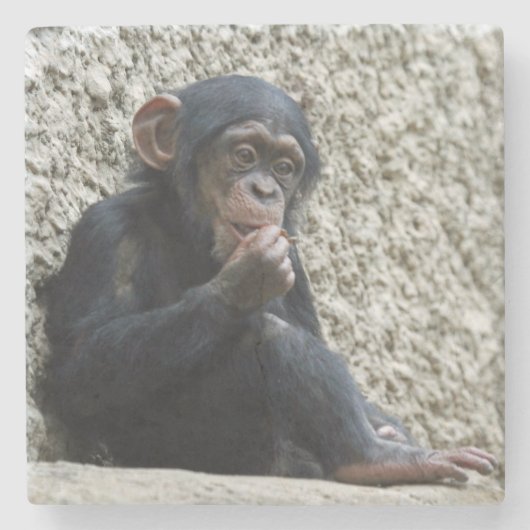 Chimpansee 013 stenen onderzetter (Voorkant)
