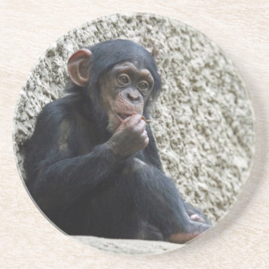 Chimpansee 013 zandsteen onderzetter (Voorkant)