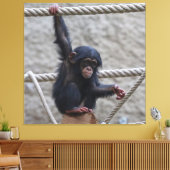 Chimpansee 017 canvas afdruk (Insitu (Woonkamer))