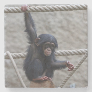 Chimpansee 017 stenen onderzetter