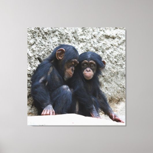 Chimpansee 022 canvas afdruk (Voorkant)