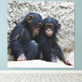 Chimpansee 022 canvas afdruk (Insitu (Houten vloer))