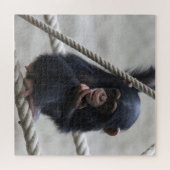 Chimpansee 030 legpuzzel (Horizontaal)