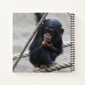 Chimpansee 030 notitieboek (Achterkant)