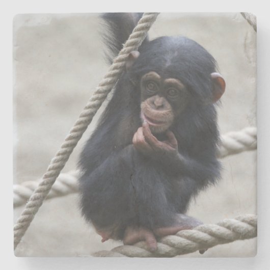 Chimpansee 030 stenen onderzetter (Voorkant)