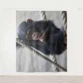 Chimpansee 030 wandkleed (Voorkant)