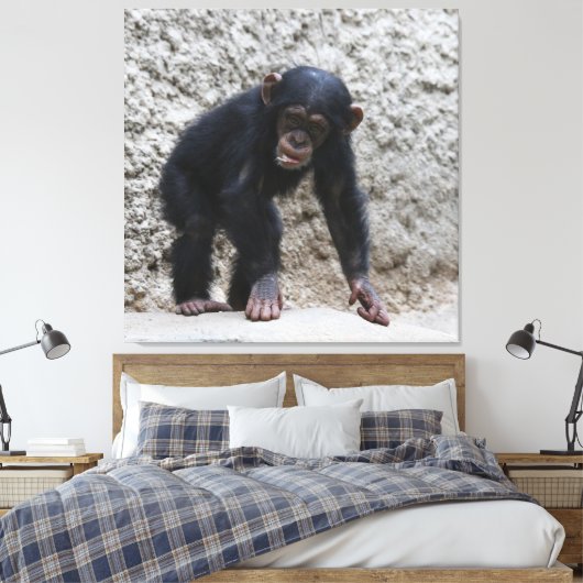 Chimpansee 031 canvas afdruk (Insitu (Slaapkamer))