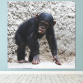 Chimpansee 031 canvas afdruk (Insitu (Houten vloer))