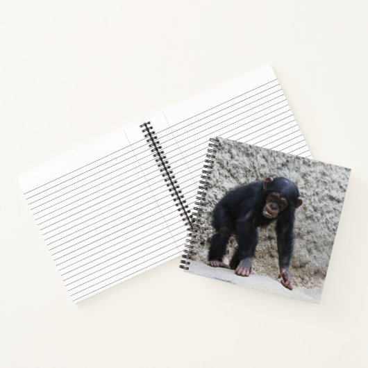 Chimpansee 031 notitieboek (Binnen)
