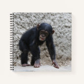 Chimpansee 031 notitieboek (Voorkant)