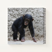 Chimpansee 031 notitieboek (Achterkant)