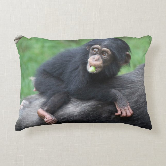 Chimpansee 032 accent kussen (Voorkant)