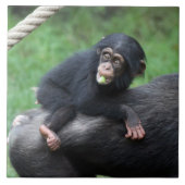 Chimpansee 032 tegeltje (Voorkant)