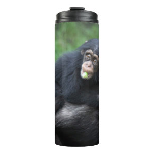 Chimpansee 032 thermosbeker
