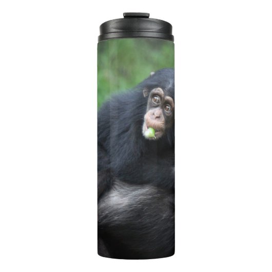 Chimpansee 032 thermosbeker (Voorkant)