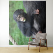 Chimpansee 032 wandkleed (In situ)