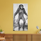 Chimpansee, 1699 canvas afdruk (Insitu (Woonkamer))