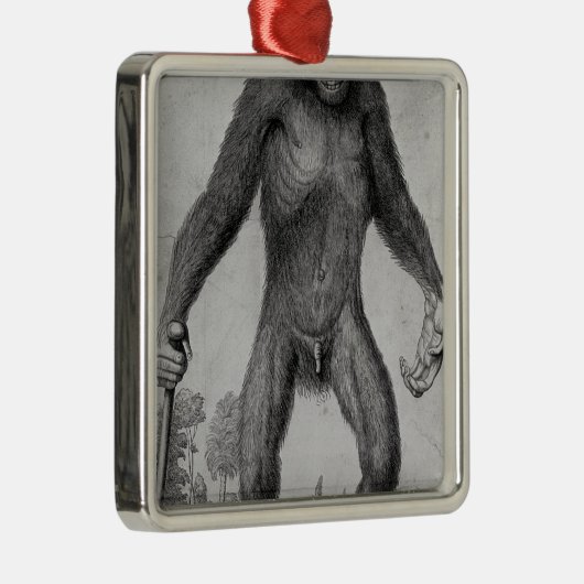 Chimpansee, 1699 metalen ornament (Rechts)