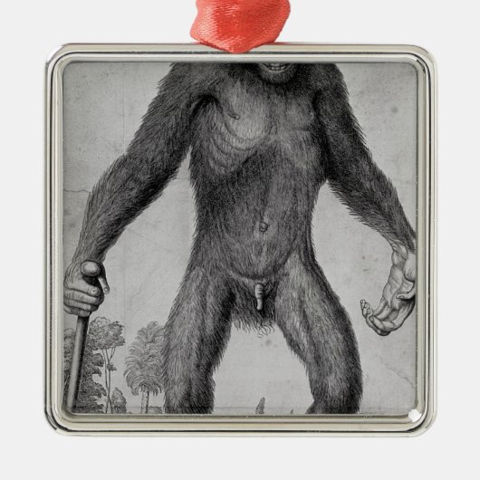 Chimpansee, 1699 metalen ornament (Voorkant)