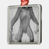 Chimpansee, 1699 metalen ornament (Links)