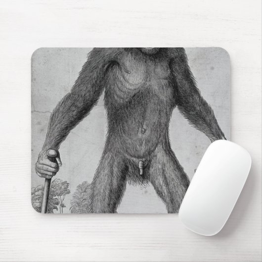 Chimpansee, 1699 muismat (Met muis)