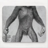 Chimpansee, 1699 muismat (Voorkant)