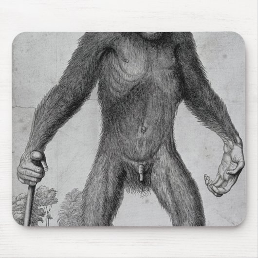 Chimpansee, 1699 muismat (Voorkant)