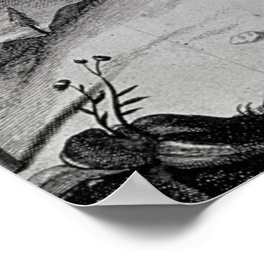 Chimpansee, 1699 poster (Hoek)