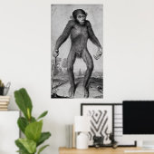 Chimpansee, 1699 poster (Thuiskantoor)
