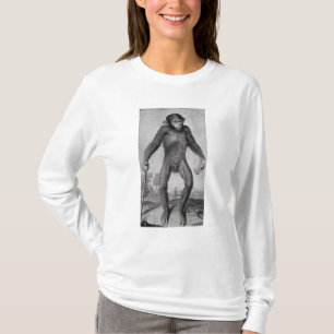 Chimpansee, 1699 t-shirt