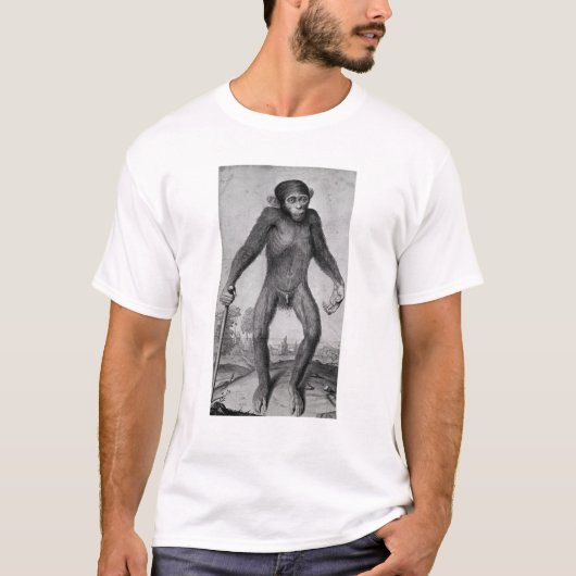 Chimpansee, 1699 t-shirt (Voorkant)