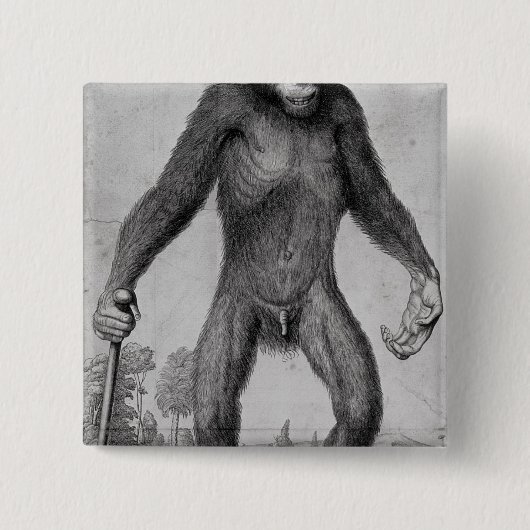 Chimpansee, 1699 vierkante button 5,1 cm (Voorkant)