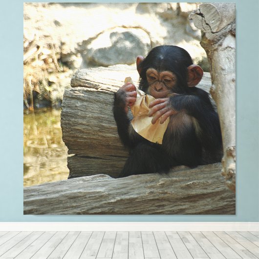 Chimpansee_2015_0101 Canvas Afdruk (Insitu (Houten vloer))