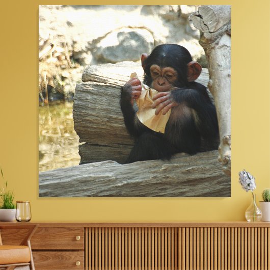 Chimpansee_2015_0101 Canvas Afdruk (Insitu (Woonkamer))