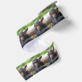 Chimpansee_2015_0504 Satijnen Lint (Achterkant)