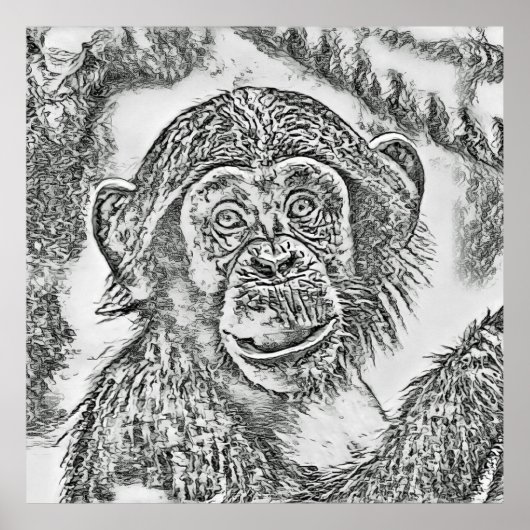 Chimpansee 20161101 poster (Voorkant)