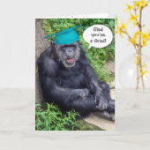 Chimpansee Afstuderen met Blauwgroen Pet Kaart (Gele Bloem)