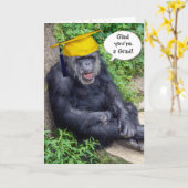 Chimpansee Afstuderen met Gold Pet Kaart (Gele Bloem)