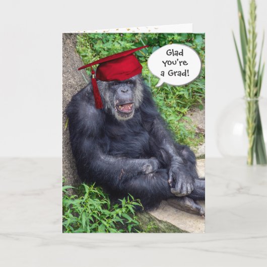 Chimpansee Afstuderen met rood Pet Kaart (Voorkant)