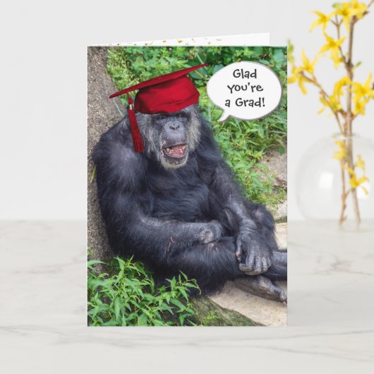 Chimpansee Afstuderen met rood Pet Kaart (Gele Bloem)