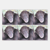 Chimpansee All Occasion Inpakpapier Vel (Voorkant 2)