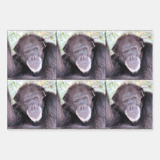Chimpansee All Occasion Inpakpapier Vel (Voorkant 2)