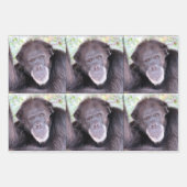 Chimpansee All Occasion Inpakpapier Vel (Voorkant)