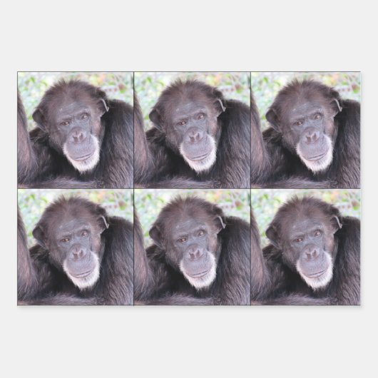 Chimpansee All Occasion Inpakpapier Vel (Voorkant)