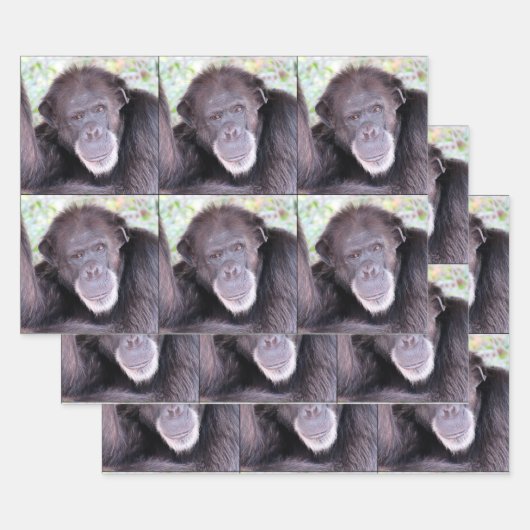 Chimpansee All Occasion Inpakpapier Vel (Set)