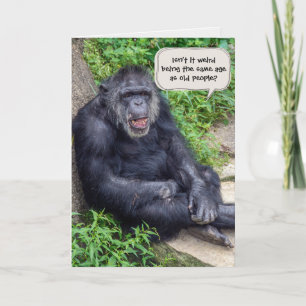 Chimpansee Birthday Humor Kaart