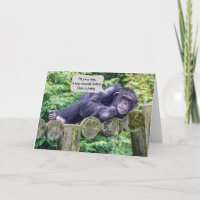 Chimpansee Birthday Humor