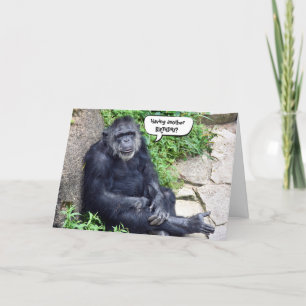 Chimpansee Birthday Humor Kaart