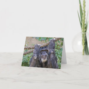 Chimpansee Birthday Humor Kaart